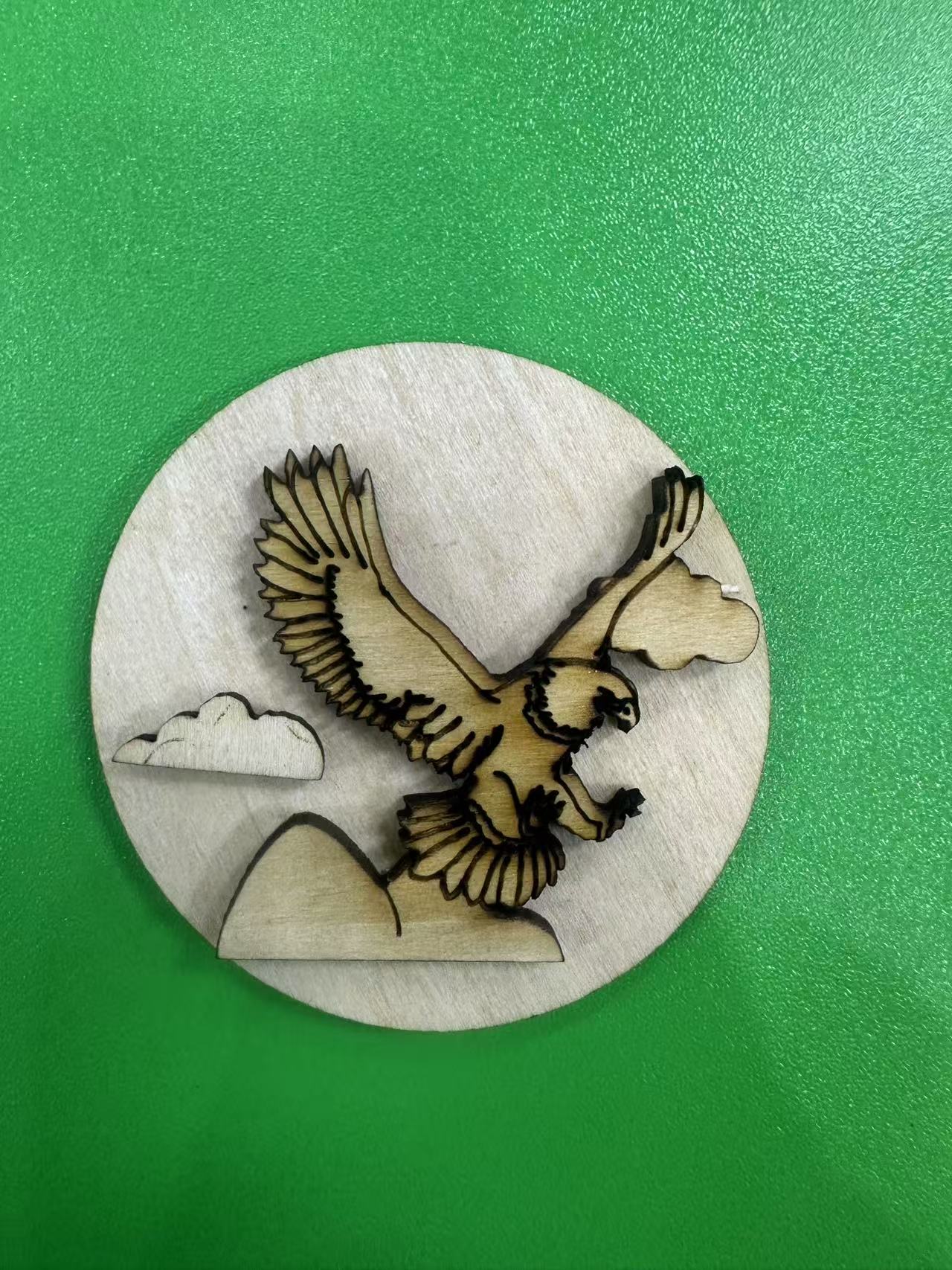 鹰击长空胸章